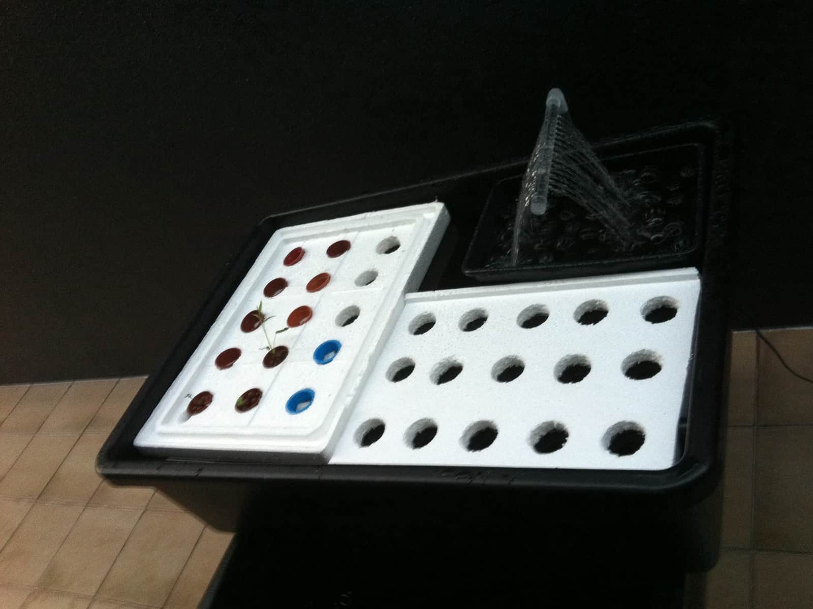 Medium Aquaponics Educational System - Aquaponics Educational System - Ecoponics Singapore - 2025 Aquaponics Educational System Singapore Ecoponics Aquaponics
