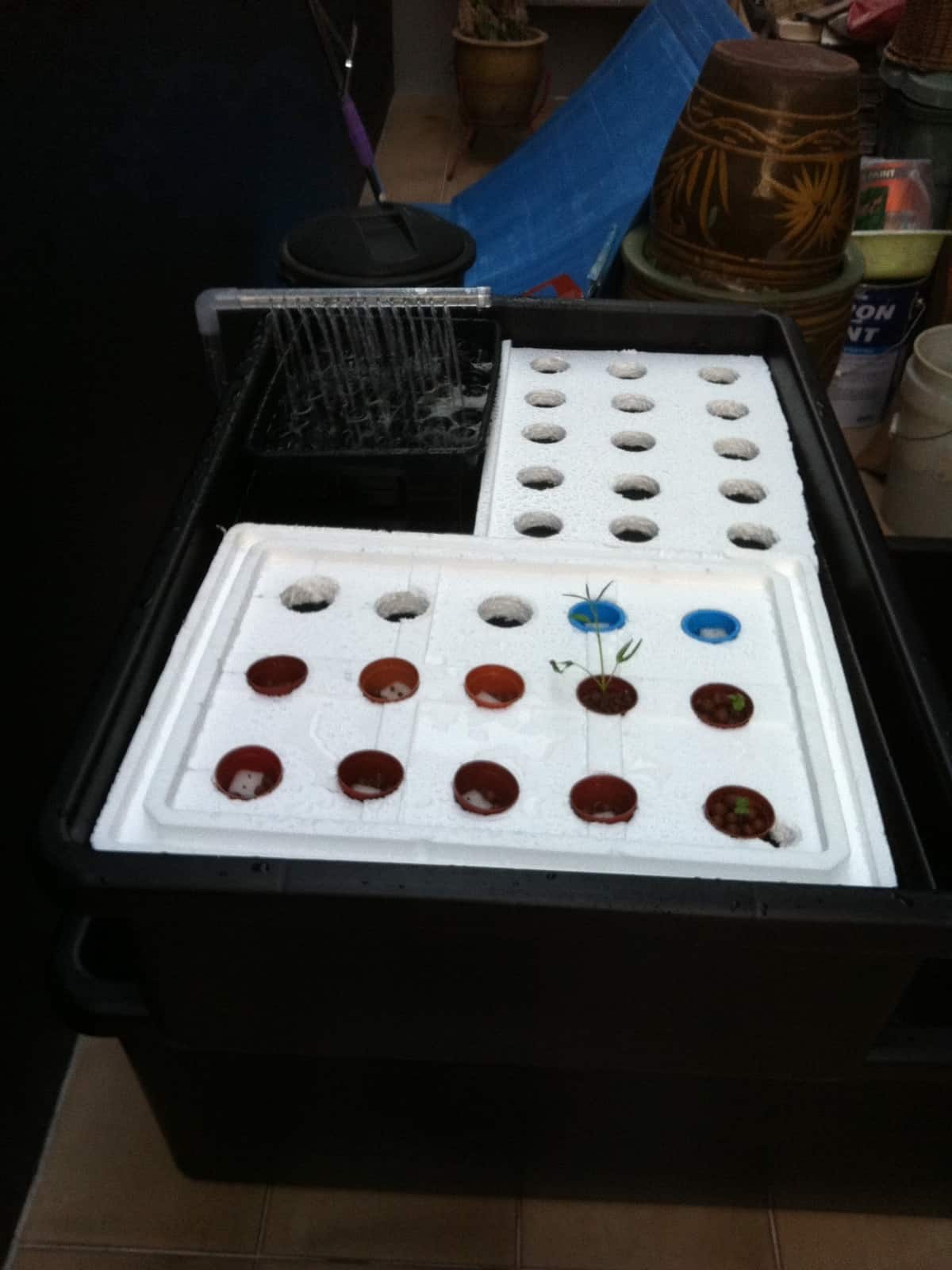 Medium Aquaponics Educational System - Aquaponics Educational System - Ecoponics Singapore - 2025 Aquaponics Educational System Singapore Ecoponics Aquaponics