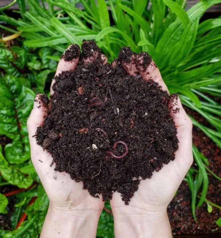 how to compost 101 soil compost worms e1582312031178 | Ecoponics Singapore | May, 2024