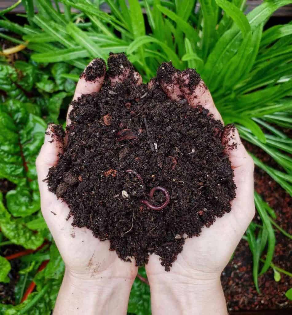 Different Ways Of Composting - Composting - Ecoponics Singapore - 2025