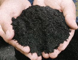 Composting And How It Works - Composting - Ecoponics Singapore - 2025 Humus From Composting