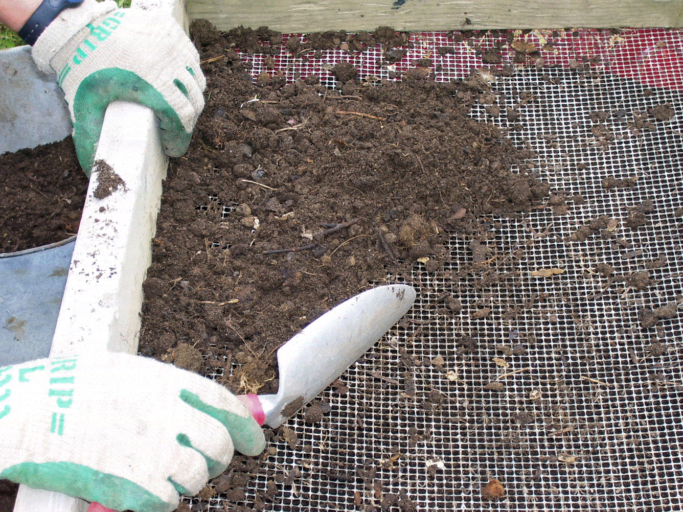 sieve | Ecoponics Singapore | September, 2023 sieve.gif