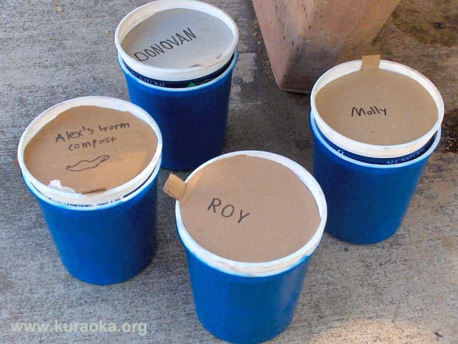 worm-bins