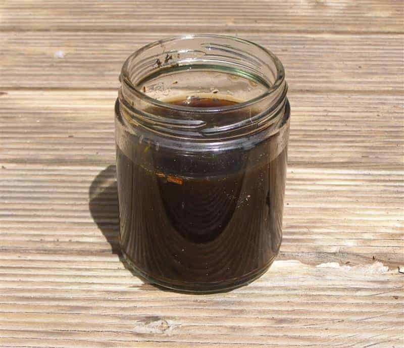 worm tea | Ecoponics Singapore | September, 2023 Worm Tea