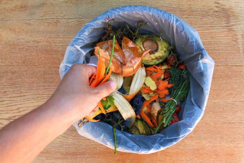 Food Waste Awareness Program - Ecoponics Singapore - 2025