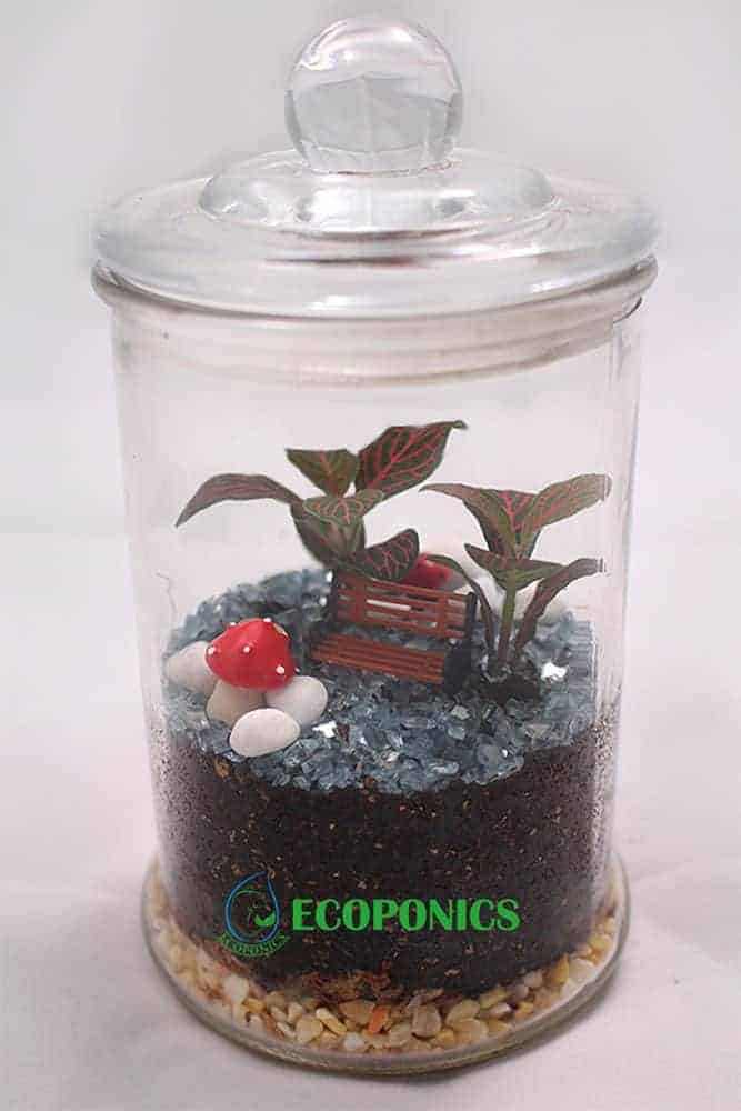 Ecoponics Classic Closed 2 | Ecoponics Singapore | September, 2023