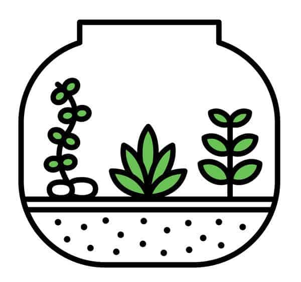 Are The Plants In Your Terrarium Withering? Here'S Why! - Terrarium Workshop Singapore - Ecoponics Singapore - 2025 Are The Plants In Your Terrarium Withering? Here'S Why! - Terrarium Workshop Singapore - Ecoponics Singapore - 2025