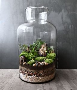 Home - Terrarium Making Singapore - Ecoponics Singapore - 2026