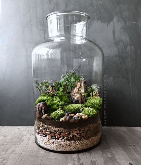 Why You Should Start Making A Terrarium - Composting - Ecoponics Singapore - 2025