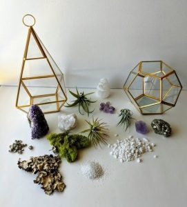 Home - Terrarium Workshop Singapore - Ecoponics Singapore - 2026