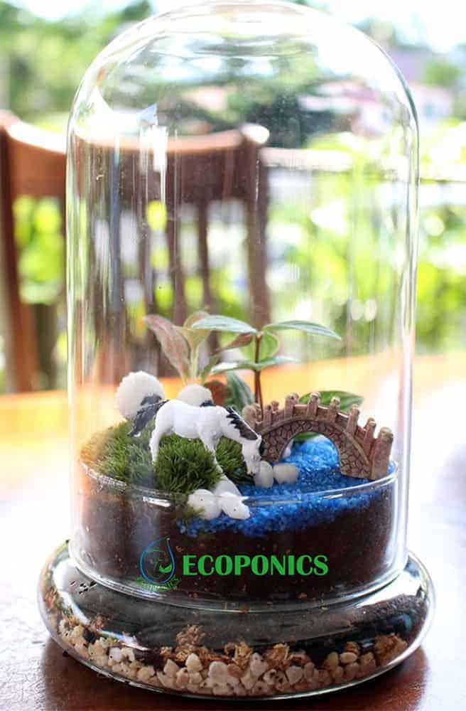 Bell | Ecoponics Singapore | September, 2023