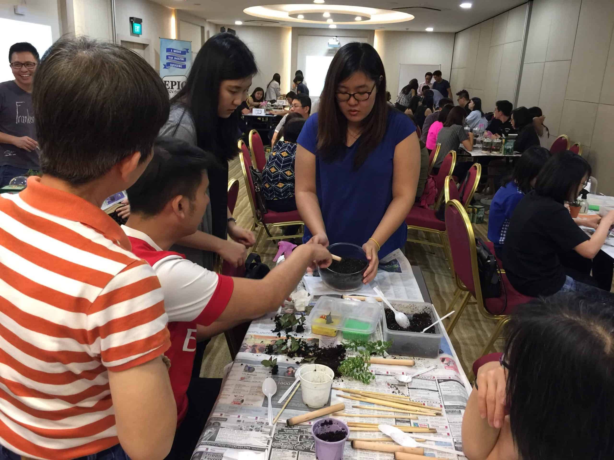 Why You Should Start Making A Terrarium - Terrarium Making Singapore - Ecoponics Singapore - 2025