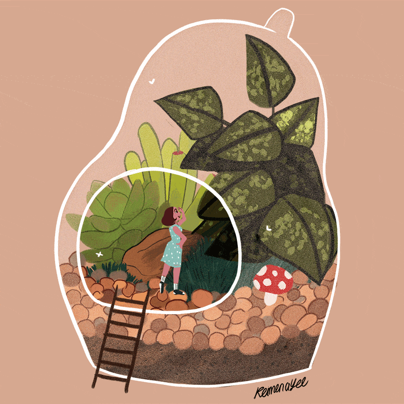 Getting Rid Of Mould In Your Terrarium In 3 Simple Steps - Terrarium Workshop Singapore - Ecoponics Singapore - 2025