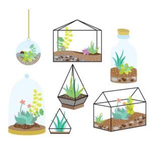 Home - Giant Terrarium - Ecoponics Singapore - 2026