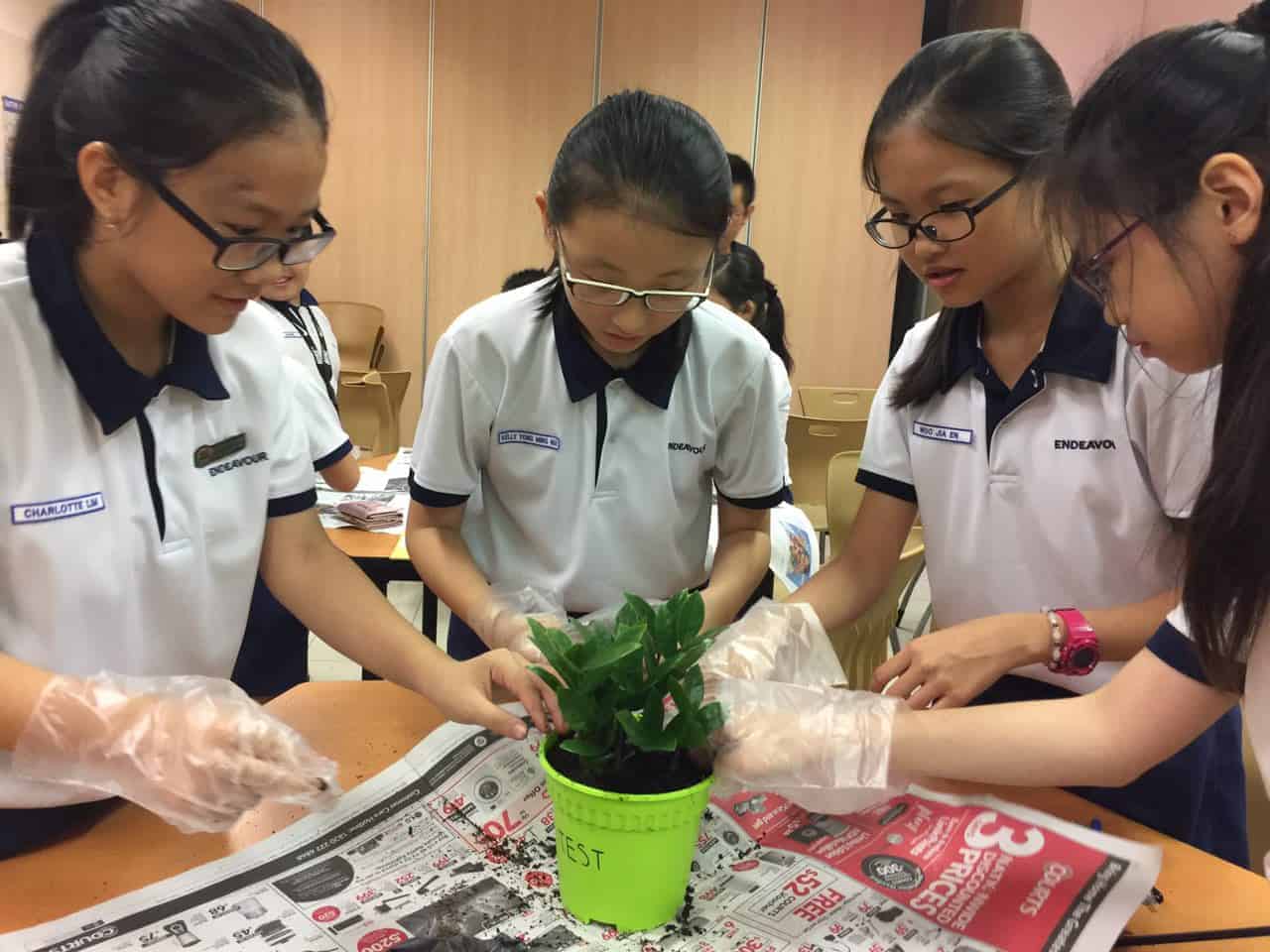 Science Activities - Science Environment Workshops - Ecoponics Singapore - 2025 Science Activities - Science Environment Workshops - Ecoponics Singapore - 2025