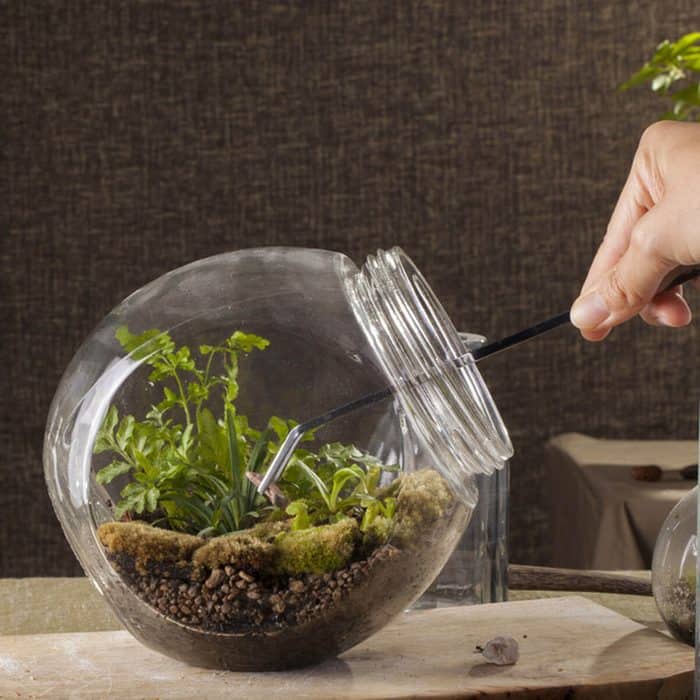Terrarium Workshop: Emphasis On Experiential Learning - Terrarium Workshop Singapore - Ecoponics Singapore - 2025 Terrarium Workshop: Emphasis On Experiential Learning - Terrarium Workshop Singapore - Ecoponics Singapore - 2025