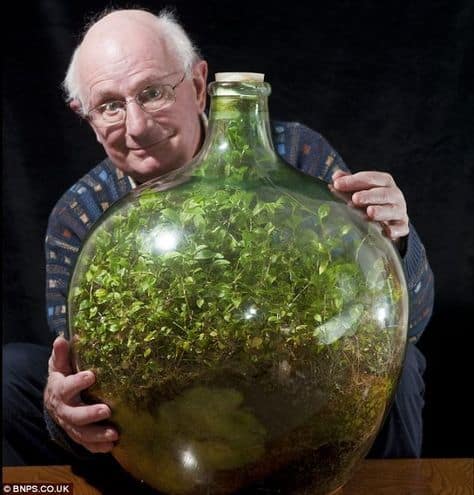 terrarium david latimer | Ecoponics Singapore | April, 2024