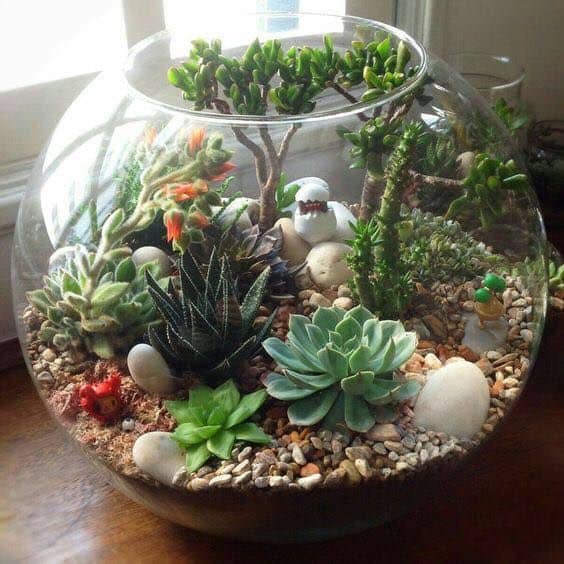 The Key Layers In A Terrarium &Amp; Their Functions - Terrarium Workshop Singapore - Ecoponics Singapore - 2025 The Key Layers In A Terrarium &Amp; Their Functions - Terrarium Workshop Singapore - Ecoponics Singapore - 2025
