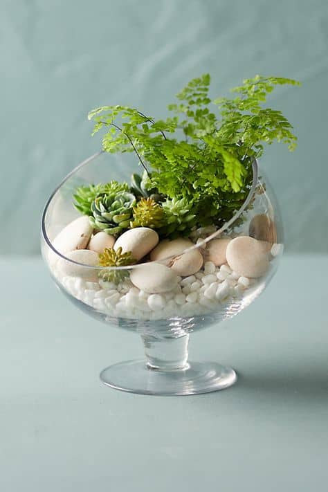 3 Popular Open Terrarium Bottle Designs - Terrarium Workshop Singapore - Ecoponics Singapore - 2025 3 Popular Open Terrarium Bottle Designs - Terrarium Workshop Singapore - Ecoponics Singapore - 2025
