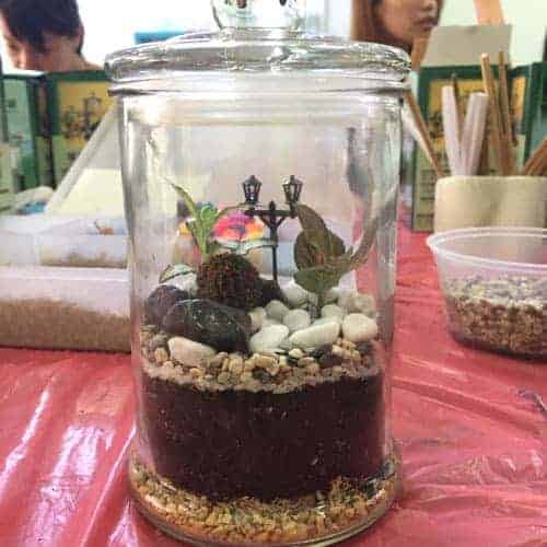 EcoPonics Closed Terrarium 2 | Ecoponics Singapore | September, 2023