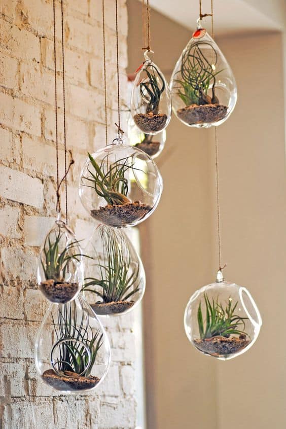 3 Unique Examples Of Ready Made Terrariums! - Terrarium Workshop Singapore - Ecoponics Singapore - 2025 3 Unique Examples Of Ready Made Terrariums! - Terrarium Workshop Singapore - Ecoponics Singapore - 2025