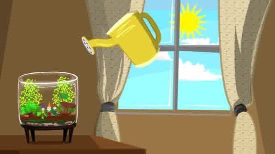 Converting Your Closed Terrarium Into An Open Terrarium - Terrarium Workshop Singapore - Ecoponics Singapore - 2025