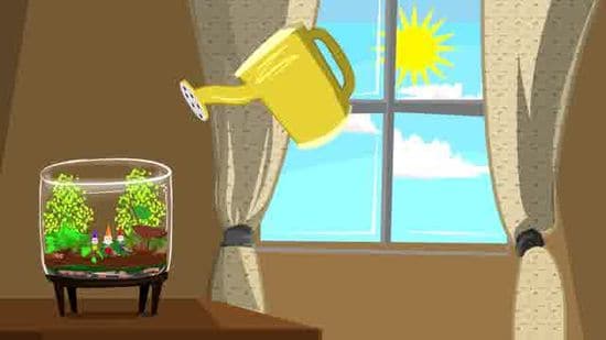 wikihow terrarium maintenance | Ecoponics Singapore | March, 2024