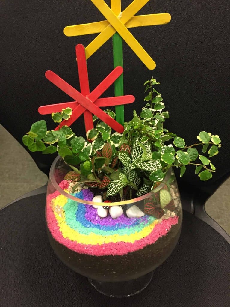 6 Key Essential Ingredients In A Terrarium Soil Mix Ecoponics Singapore