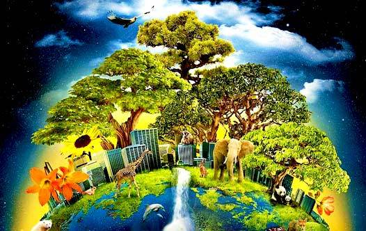 Ecoponics: 5 Quotes On The Importance Of Going Green - Terrarium Workshop Singapore - Ecoponics Singapore - 2025