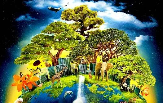 Mother Earth | Ecoponics Singapore | April, 2024