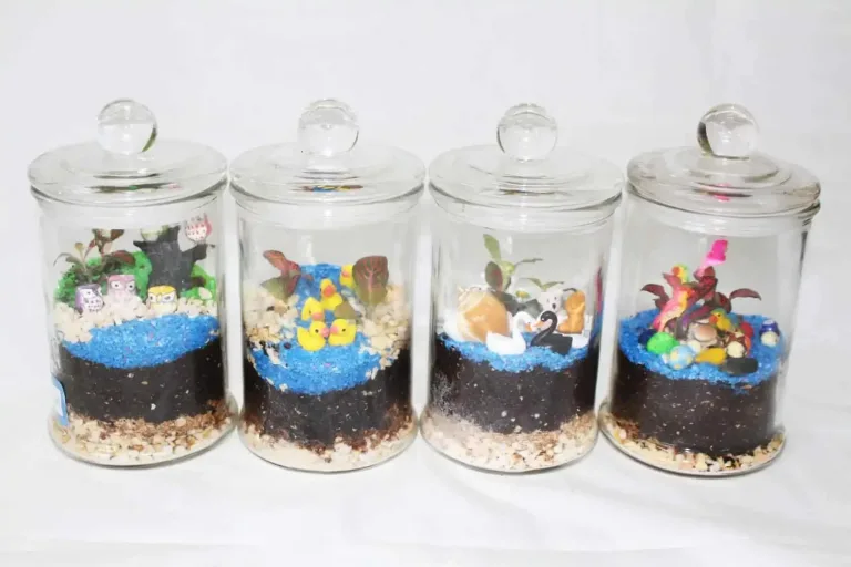 Blog - Terrarium Figurine in Singapore - Ecoponics Singapore - 2025 Ecoponics Singapore