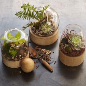 Home - Terrarium Workshop Singapore - Ecoponics Singapore - 2026