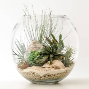 Home - Terrarium Workshop - Ecoponics Singapore - 2026