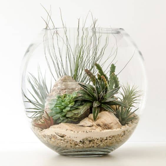 Blog - Terrarium Figurine in Singapore - Ecoponics Singapore - 2025 Blog - Terrarium Figurine in Singapore - Ecoponics Singapore - 2025