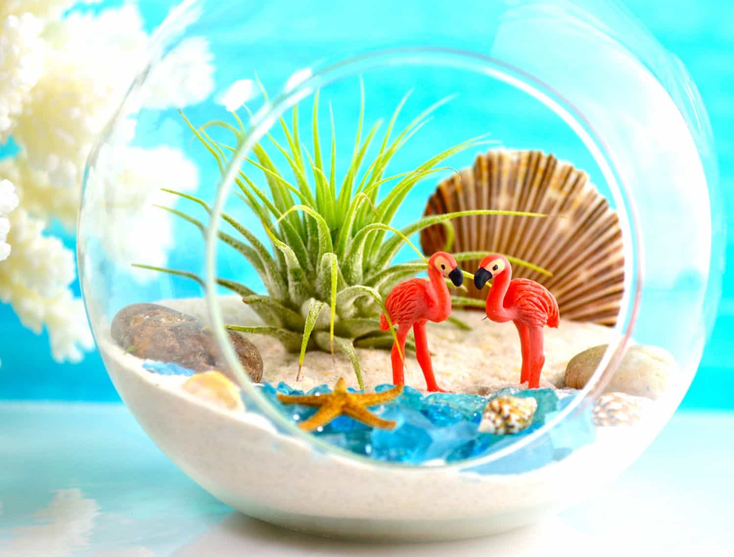 Air Plant Flamingo Etsy Studio | Ecoponics Singapore | September, 2023 Air Plant Flamingo Etsy Studio | Ecoponics Singapore | September, 2023