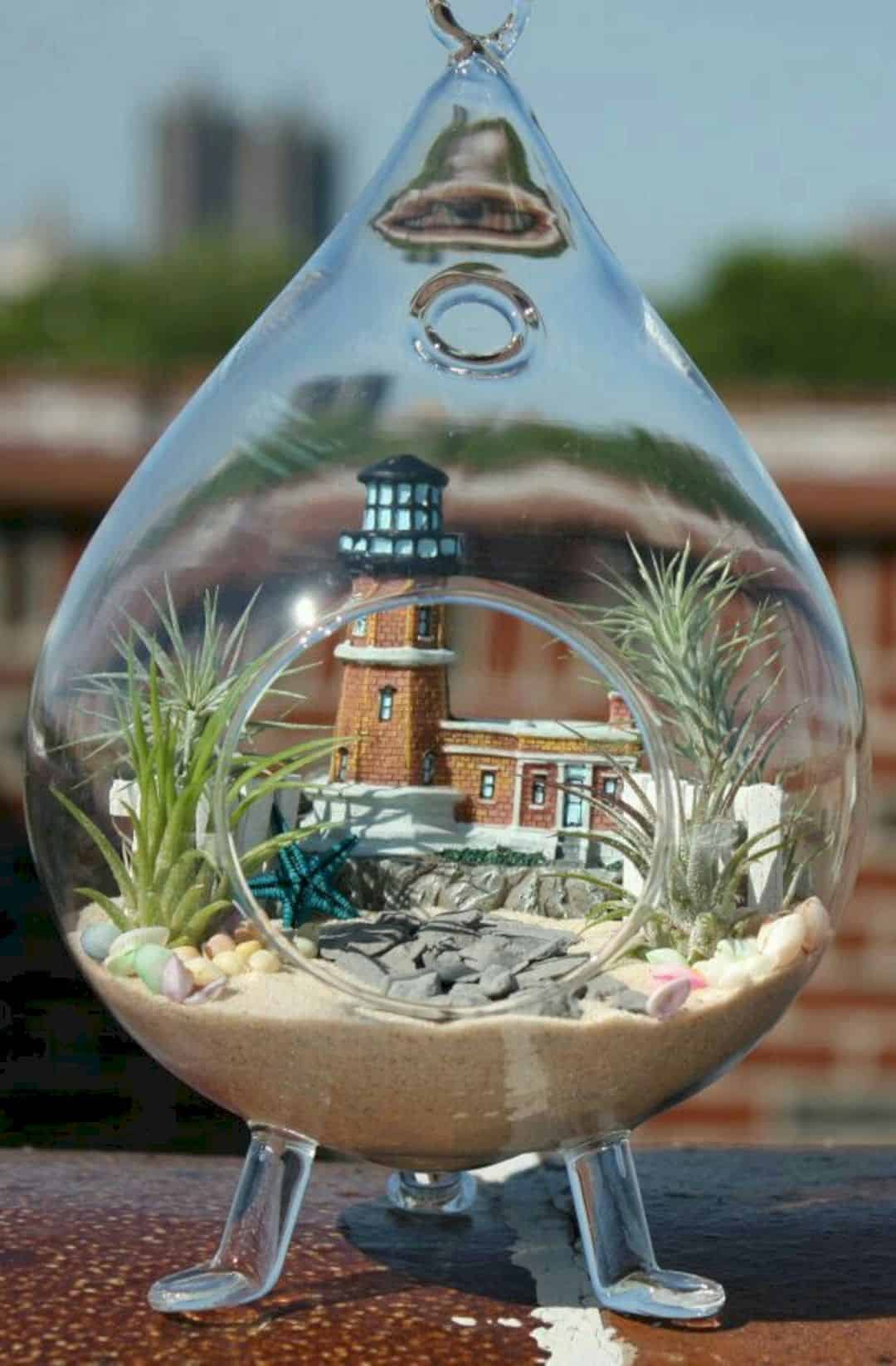 Concrete Jungle Air Plant Terrarium Pinterest | Ecoponics Singapore | March, 2024