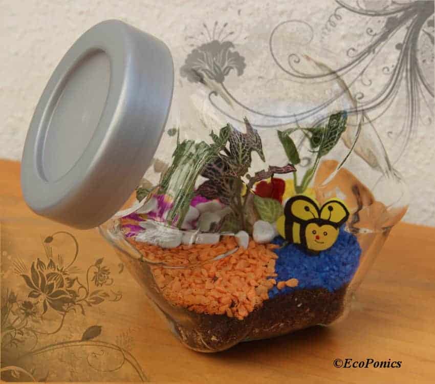 Why Is My Terrarium Dying? - Why Is My Terrarium Dying - Ecoponics Singapore - 2025