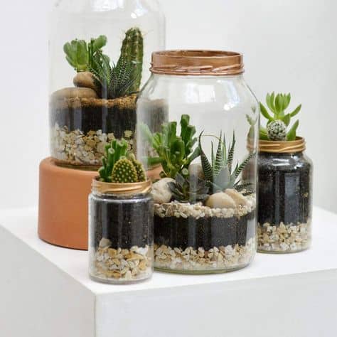 Blog - Terrarium Figurine in Singapore - Ecoponics Singapore - 2025 Blog - Terrarium Figurine in Singapore - Ecoponics Singapore - 2025