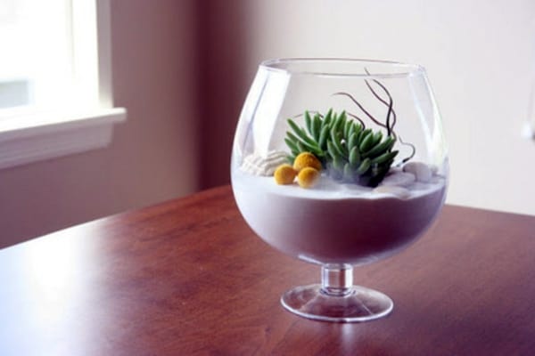make terrarium itself applied art 1 759 | Ecoponics Singapore | September, 2023