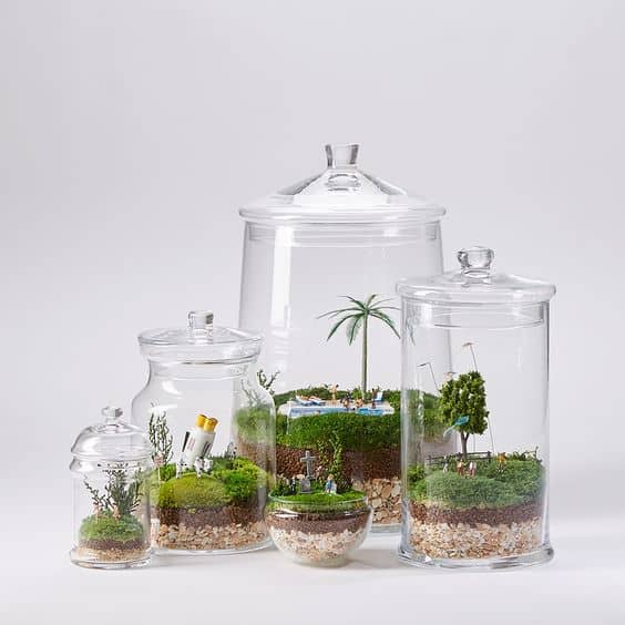 How to Make a Terrarium in a Jar - Dengarden