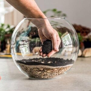 Home - Removing Mould - Ecoponics Singapore - 2026