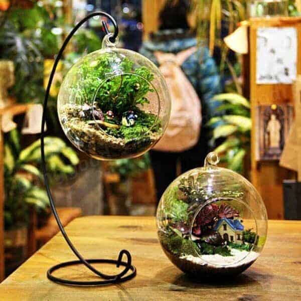 glass sphere planter magnificent hanging ball glass flower planter vase terrarium container of glass sphere planter 1 | Ecoponics Singapore | April, 2024