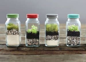 Home - Terrarium Workshop Singapore - Ecoponics Singapore - 2026