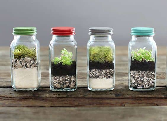 Blog - terrarium plants singapore - Ecoponics Singapore - 2025 Blog - terrarium plants singapore - Ecoponics Singapore - 2025