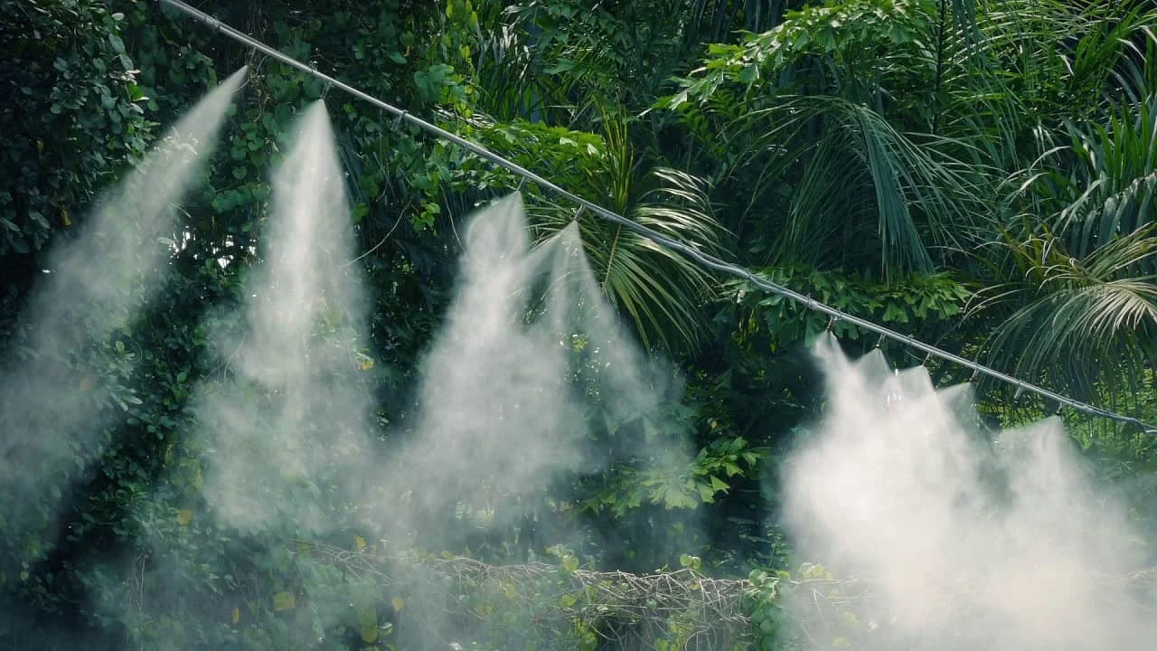 Misting | Ecoponics Singapore | December, 2023 Misting | Ecoponics Singapore | December, 2023