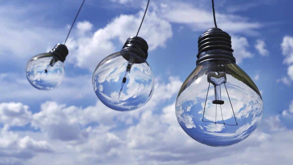 Energy Saving Hacks For Schools - Live Green! - Fittonia Care Tips - Ecoponics Singapore - 2025