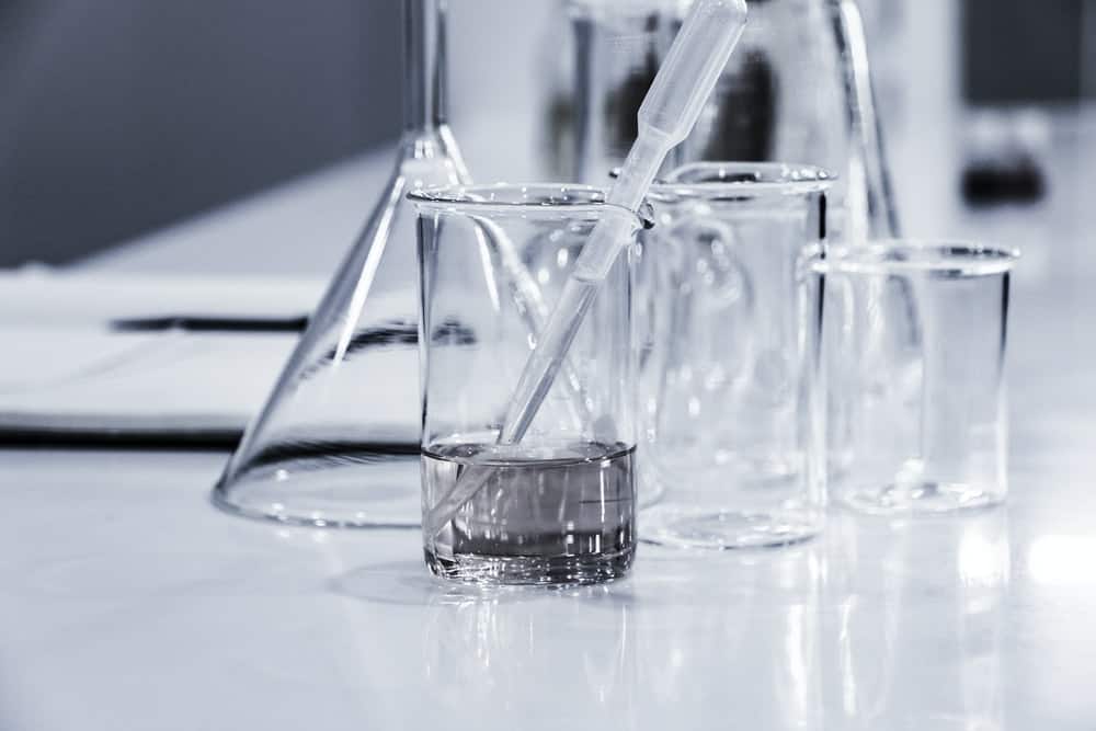 Scintillating Science - How To Make Science Lessons More Fun! - Fittonia Care Tips - Ecoponics Singapore - 2025