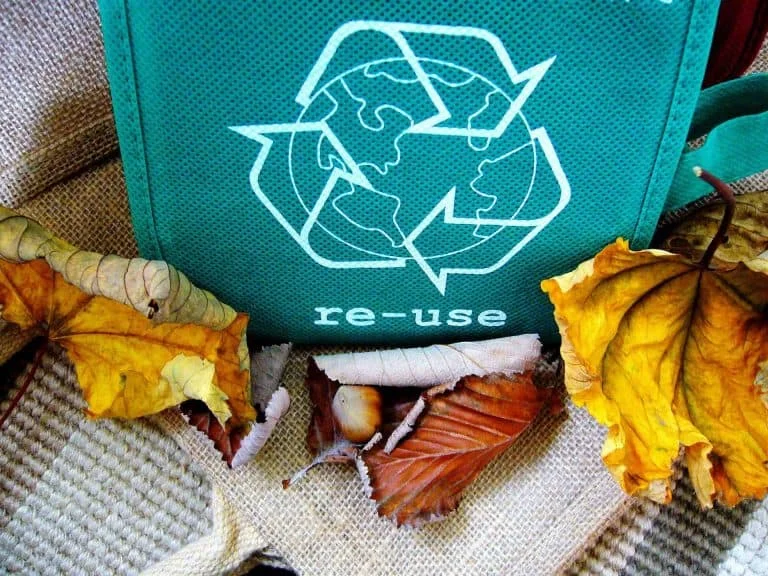 recycle 57136 1920 | Ecoponics Singapore | April, 2024