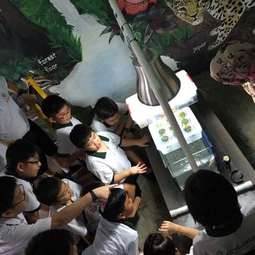 Dynamic-Content-Widget-E1629Ee-2 - Ecoponics Singapore - 2025 Aquaponics-Workshop-For-Fernvale-Primary-School-3
