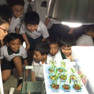 Science Activities - Science Environment Workshops - Ecoponics Singapore - 2025